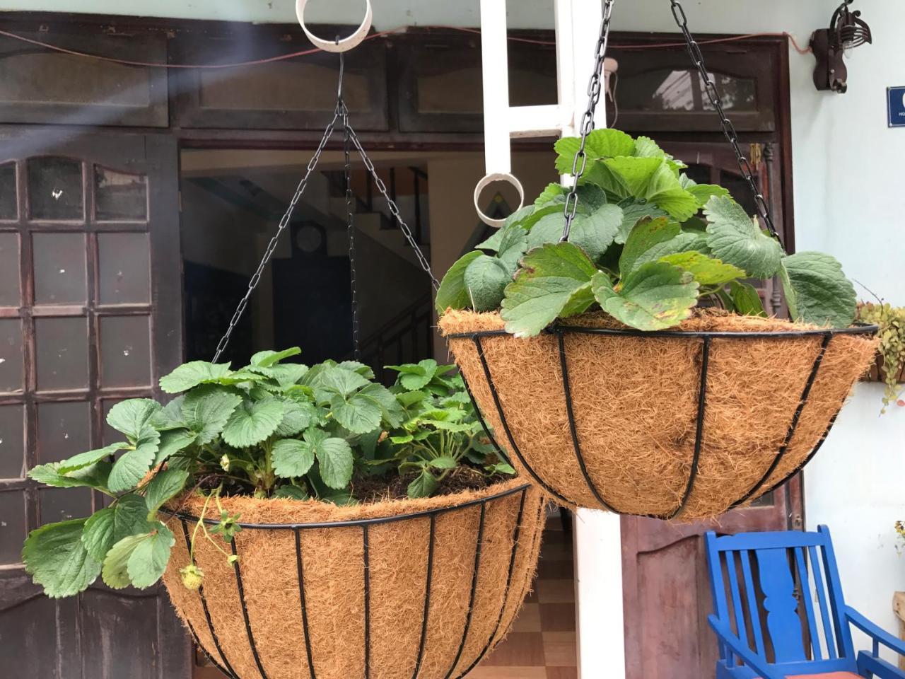 Dalat Coffee House Homestay Kültér fotó