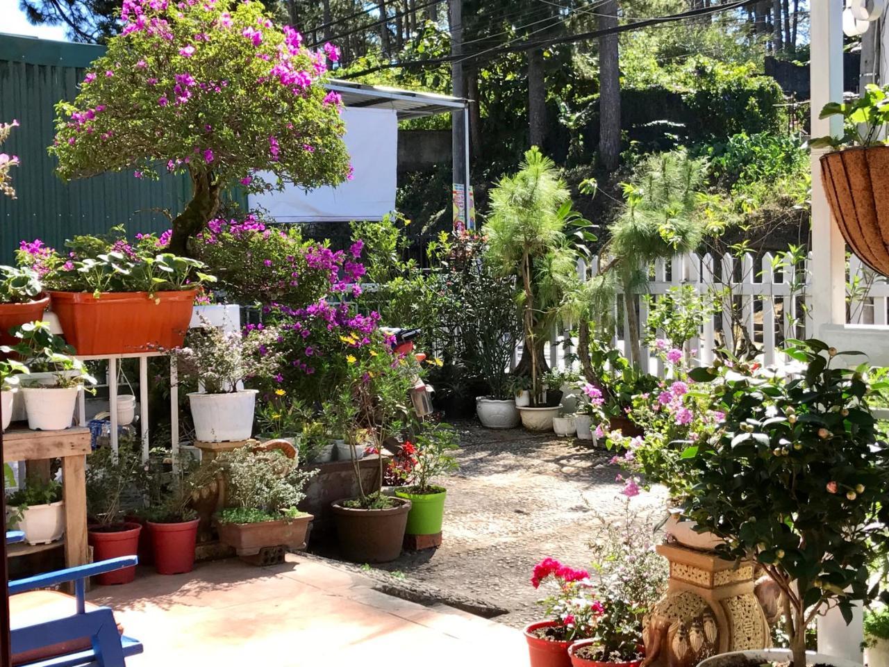 Dalat Coffee House Homestay Kültér fotó